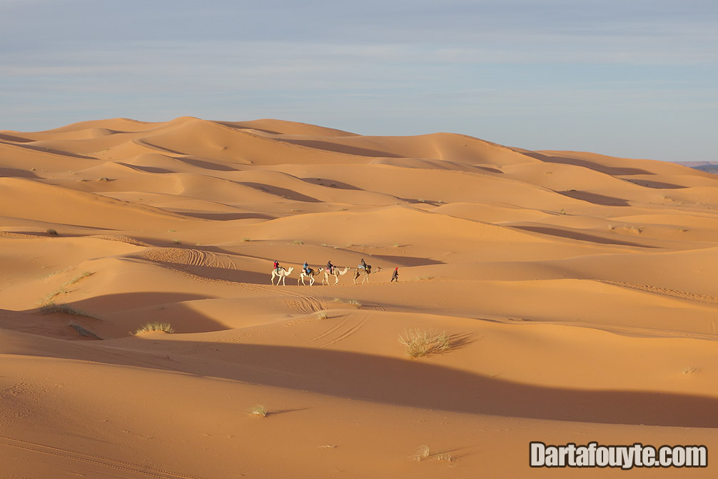 Photos, Camel Rides Morocco