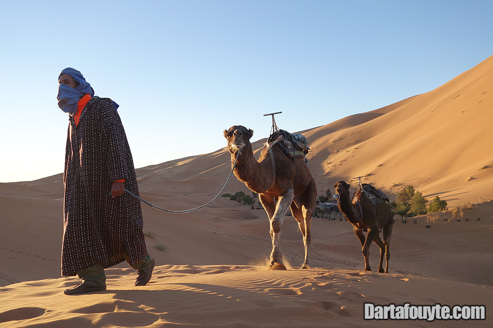 Photos, Camel Trekking Merzouga