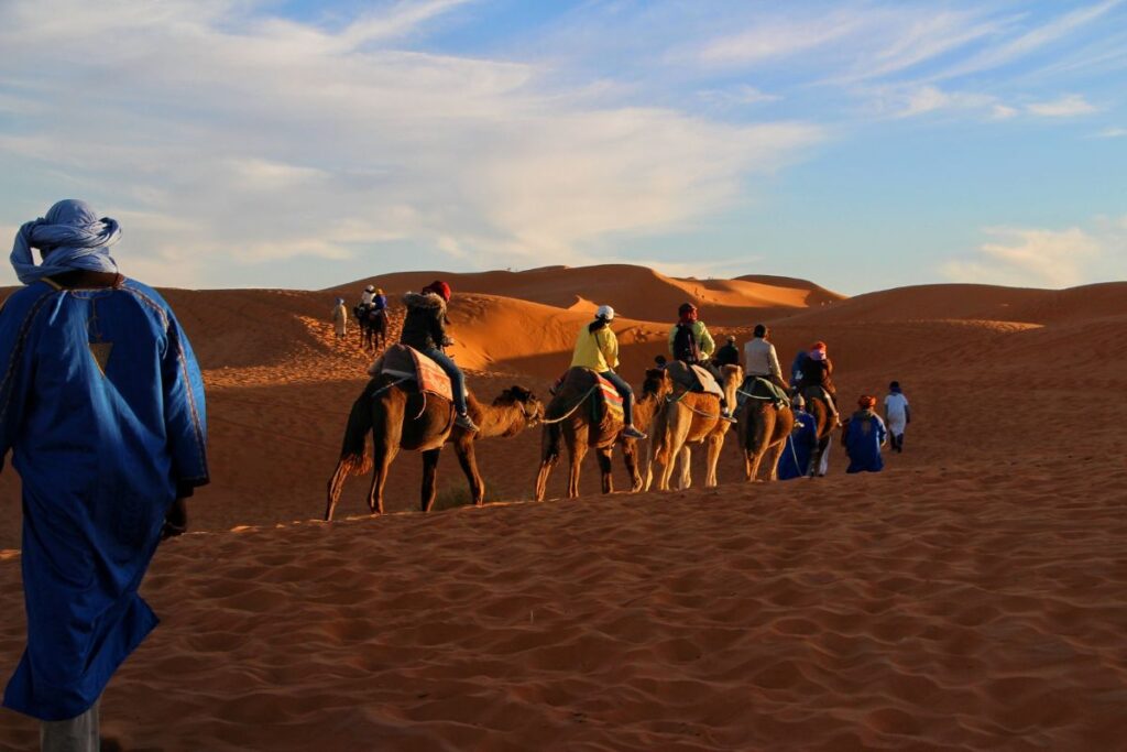 Camellos en el Sahara