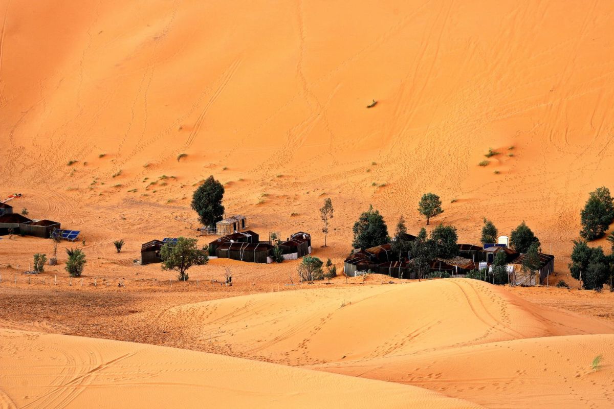 Page d'accueil, desert camp 2