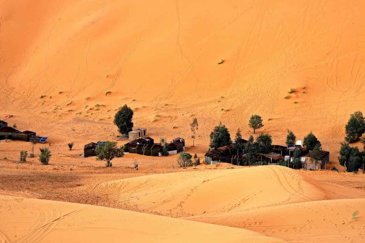 desert camp desert camp